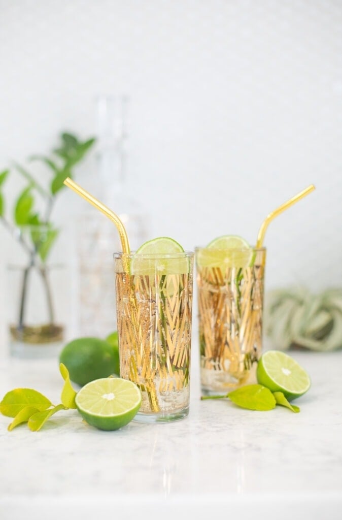 gin and ginger ale