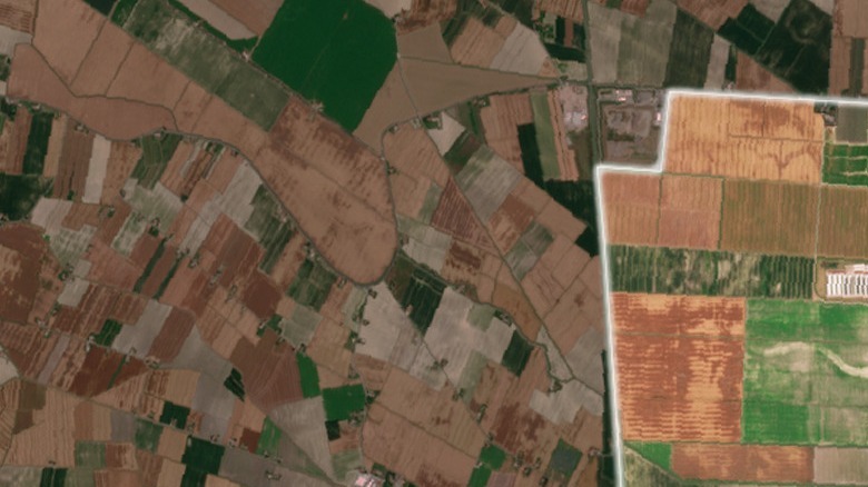 satellite view of farmland