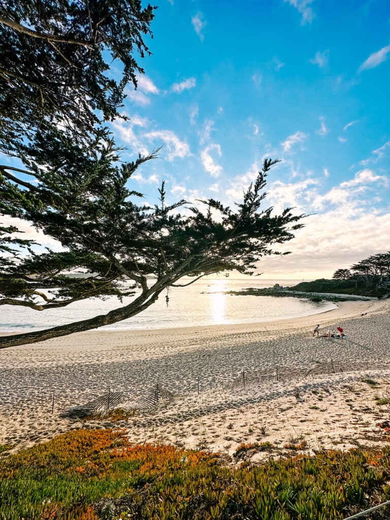 What to Do in Carmel, California