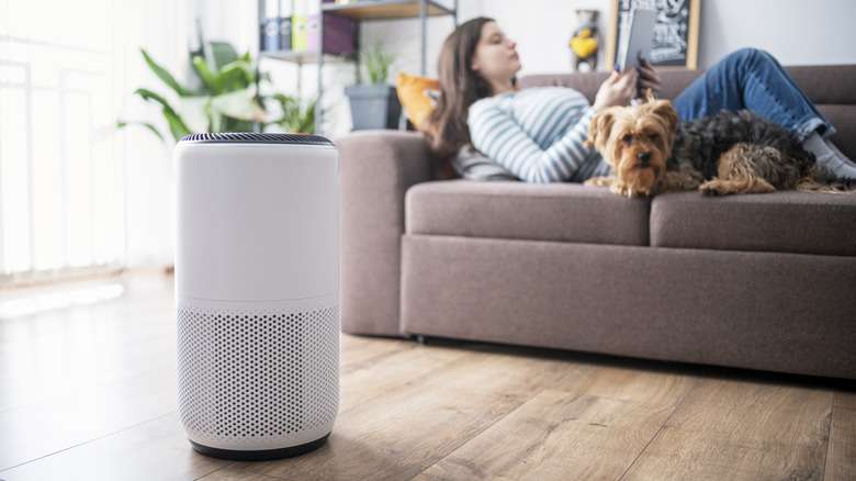 Humidifier in living room