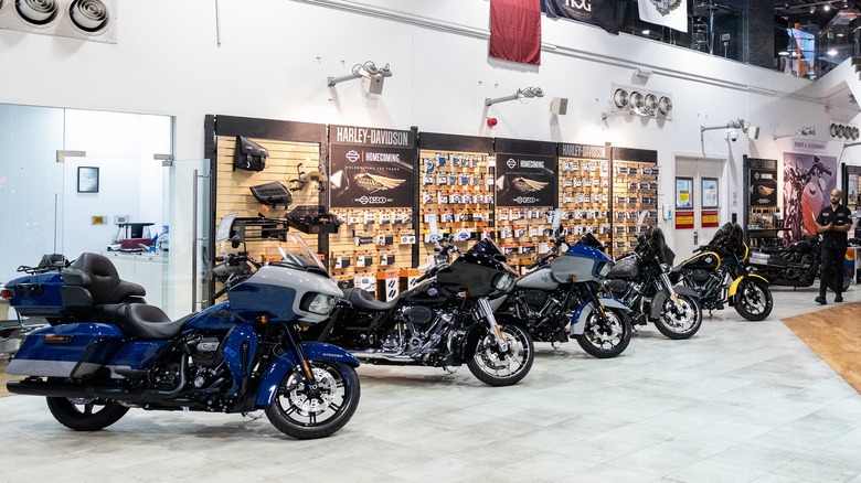 Several Harley-Davidson motorcycles in a row on display