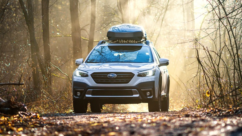 White Subaru Outback driving on forest trail