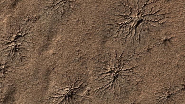 Spiders on Mars