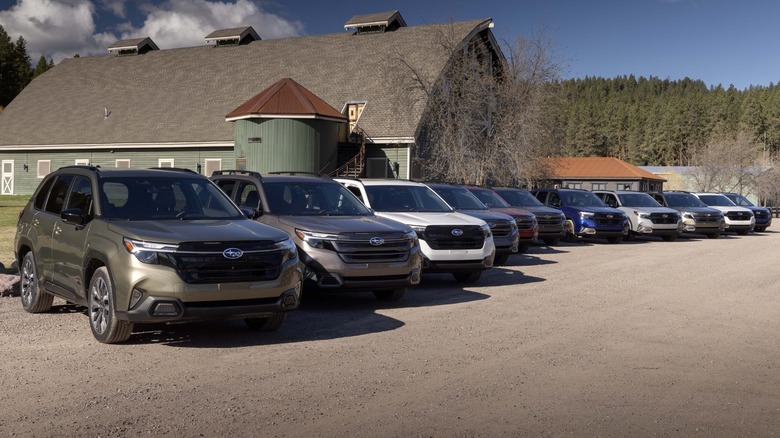 Subaru Foresters parked together