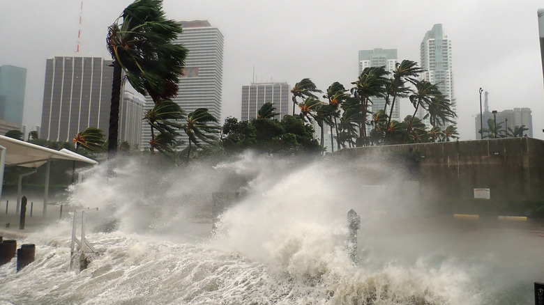 wind and waves hitting Miami shoreline