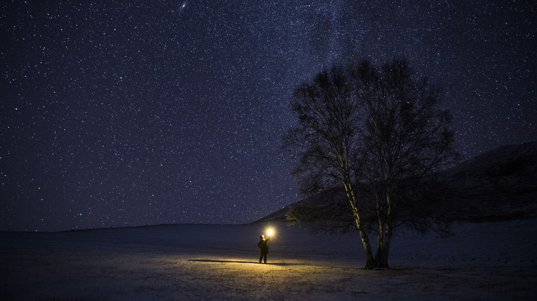 Man holding a flashlight up to a night sky