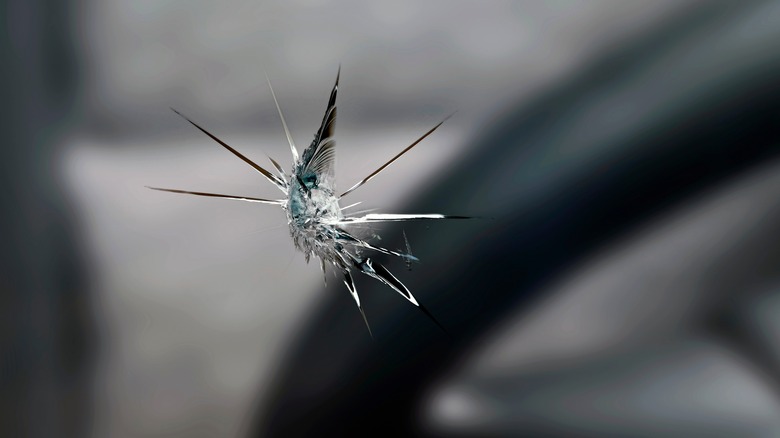 Chip in a vehicle windshield