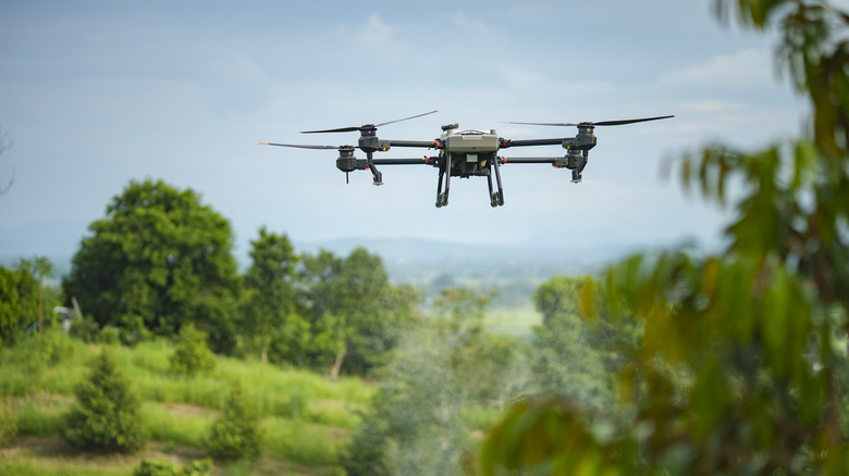 Drone flying over trees