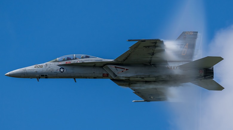 An F-18 Super Hornet performs at an air show