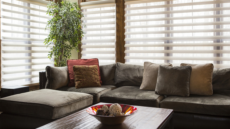 Living room with blinds