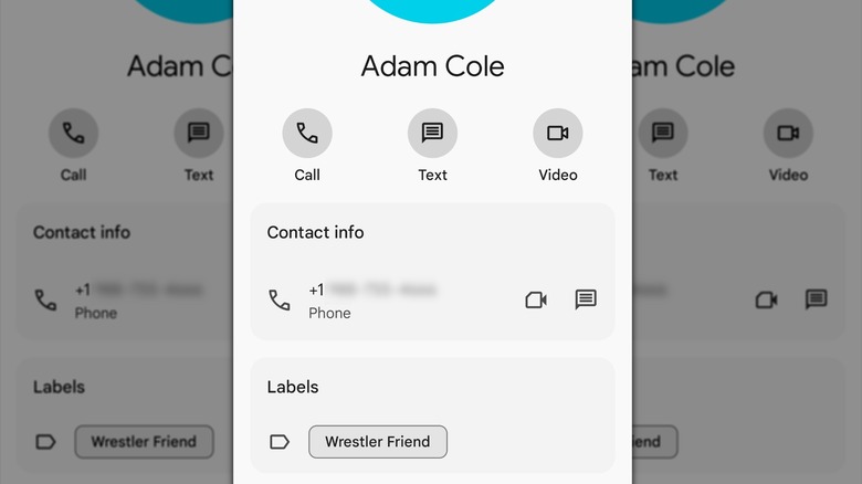 Contact inside Google Contacts with a custom Label