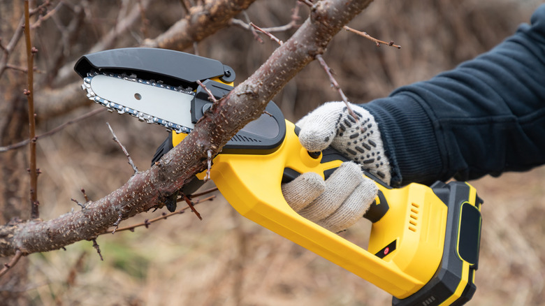 Man using a battery-powered handsaw on a tree