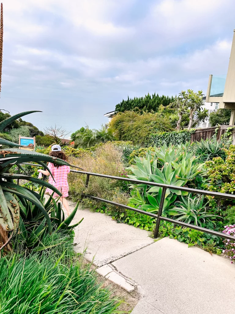 things to do in newport beach